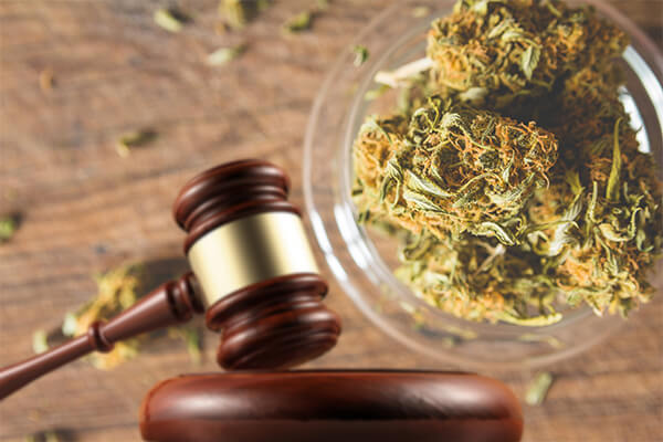 Marijuana Laws, Marijuana Laws Fort Worth TX, Marijuana Laws in Fort Worth