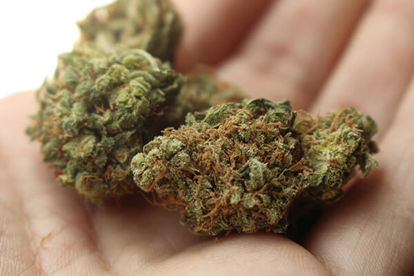 Marijuana Laws, Marijuana Laws Fort Worth TX, Marijuana Laws in Fort Worth