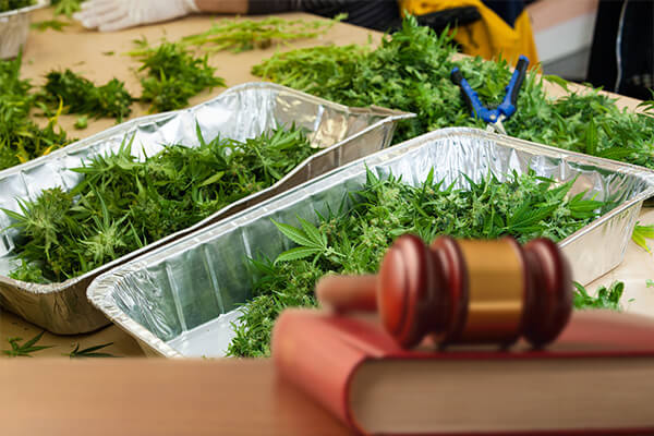 Marijuana Laws, Marijuana Laws Fort Worth TX, Marijuana Laws in Fort Worth